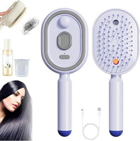 Electric Steam Brush