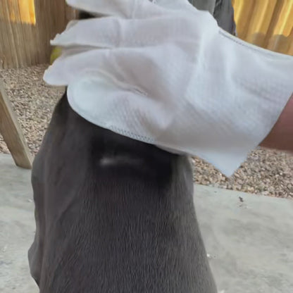 Renora Pet Glove Wipes